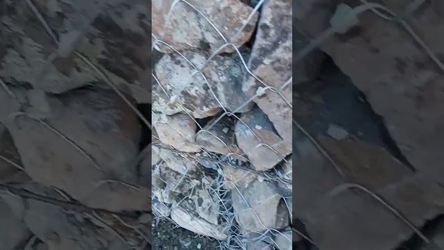 #Планировка #Инженерний_Габион #Дизайнерский_Габиог#Проект_Габион_Армения#Габион2023#Подпорная_Стен смотреть онлайн