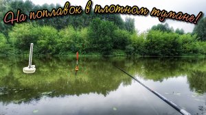 НОВАЯ КОРМУШКА. МНОГО ХОРОШЕЙ РЫБЫ НА КУКУРУЗУ И ПЕРЛОВКУ.