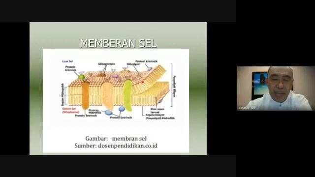 PEMBELAJARAN BIOLOGI SEL смотреть онлайн