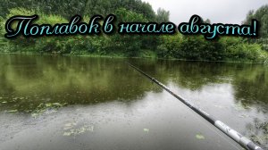 РЫБАЛКА У ДОМА ПОСЛЕ ДОЖДЯ! ОДНА ЗА ОДНОЙ НА ПЕРЛОВКУ ТОЛЬКО ЗАКИДЫВАЙ)