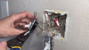 How To: Wire a Shelly 2.5 Relay