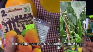 Семена перцев которые я вырастила в этом году #перцы#томаты#помидоры#урожай#сад#огород#shorts