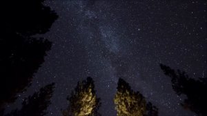 Ylfa Mist Helgadóttir – Skór