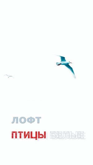 Лофт - «Птицы белые» Премьера 6 декабря на всех площадках