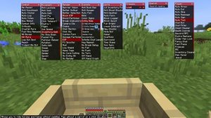 2B2T 1.16.5 -  ДОБРАЛСЯ ДО ЭНДА?! ВЫЖИВАНИЕ НА ТЕСТОВОМ СЕРВЕРЕ 2b2t!