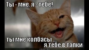 Ты мне я тебе | Как разговаривать с коллекторами по телефону