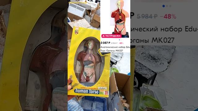 Изучай Даром. Цена обучения на барахолке. Макет торса человека. Short #shorts