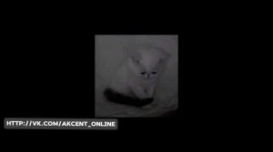 GLOBAL FF 💔грустная песня💔