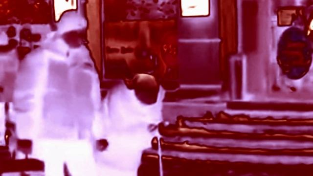 Сумерки Ледяных Нимф "Bastard (Strange Barocco Version)" смотреть онлайн