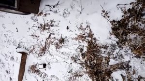 почему плохо греет печка