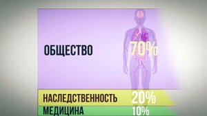 3 главных факторов влияющих на здоровье.