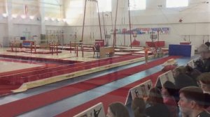 Соревнования по спортивной гимнастике 3 взрослый разряд.