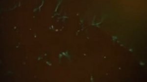 Киножурнал "Хочу всё знать" №47