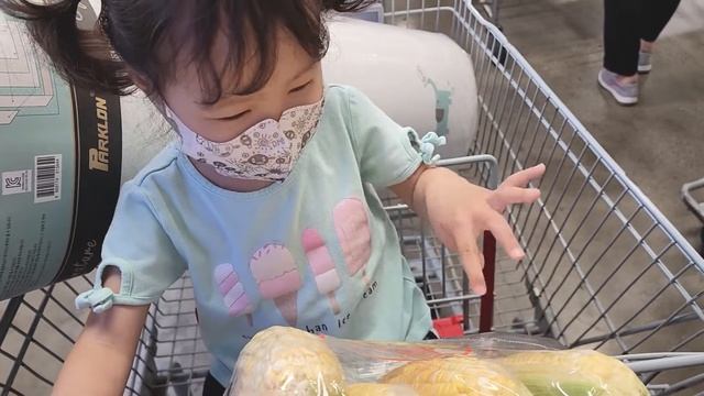 SUB) 육아vlog ｜27개월의 숫자세기 ｜쌍둥이가 말하기 시작하면 생기는 일😂