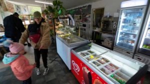 Пролетая над Большой Дорогой / Коалы есть? / Часть 3 Cape Otway