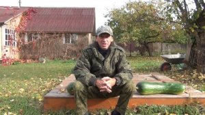 ЧТО ЭТО ВЫРОСЛО? Как называется? Что можно приготовить?