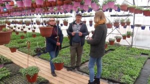 Крестьянско-фермерское хозяйство семьи Фирсовых