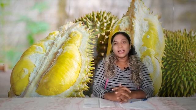 Durian wagawa смотреть онлайн