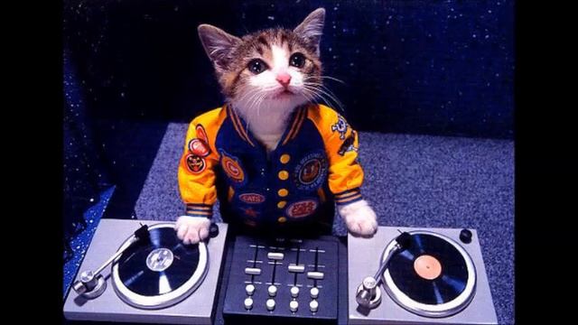 DJ Areal Kollen - Loop 14 V1 смотреть онлайн