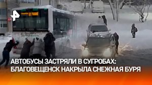 Снежная буря столетия: "адские" осадки парализовали Благовещенск