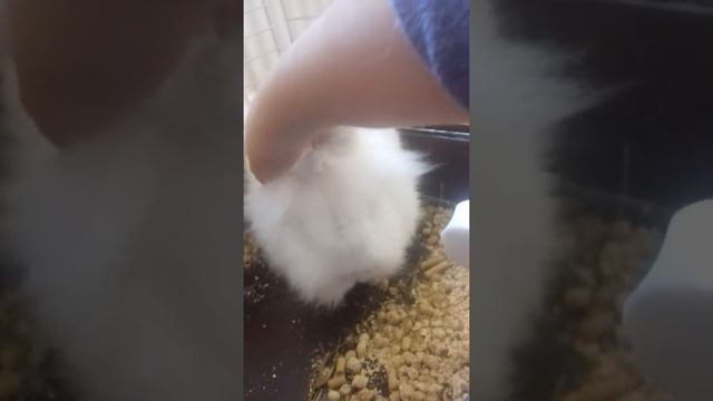 Mano givunelis 😊😊 смотреть онлайн