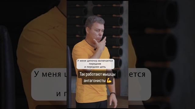 Так работают мышцы антагонисты 💪