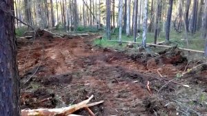 2017 06 11 Пожар близ Пеледуя