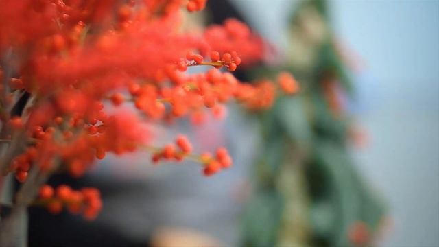 промо-видео к курсу "Рождественская елочка" смотреть онлайн