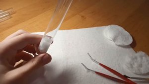 Как сделать пробирку-икубатор для муравьёв?