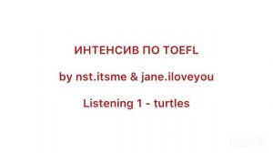 Listening  turtles