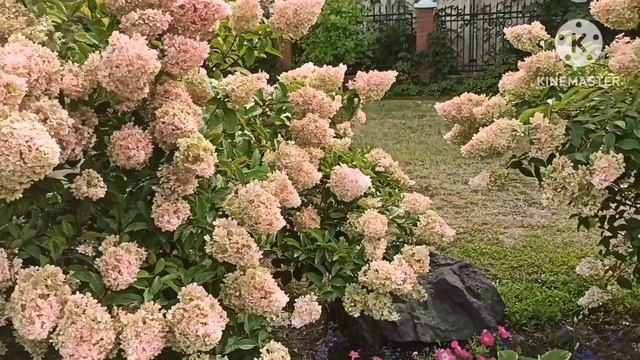 Марина Нова.Опять про папу и маму.Ну в общем и мужа нет,и работы нет,потому,что папа и мама