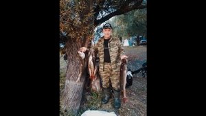 Иртыш 2019 осень