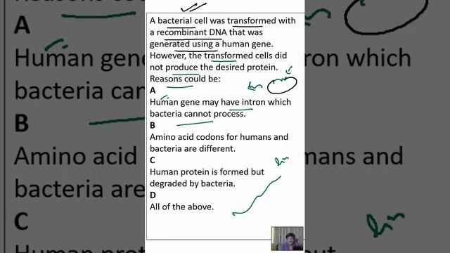 A bacterial cell was transformed with a recombinant DNA that was generated using a human gene.