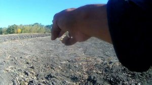 эхо войны, коп по старине, раритетов и артефактов