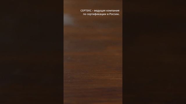 Безопасность использования тостеров: важность сертификации (sertex.org)