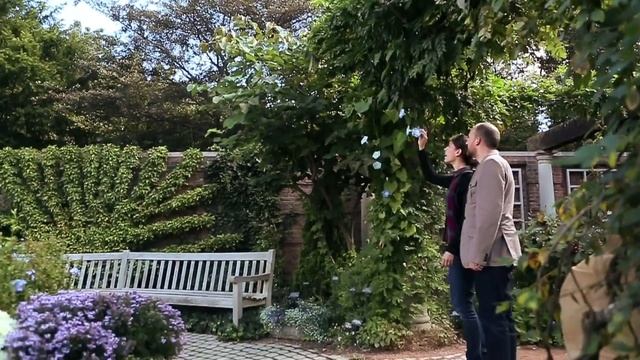 App review: Chicago Botanic Garden's GardenGuide app смотреть онлайн