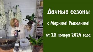 Дачные сезоны с Мариной Рыкалиной от 28 ноября 2024 года