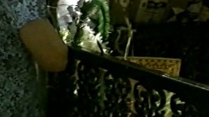 Иеросхимонах Сампсон Сиверс. Проявление духовной силы над недужными.