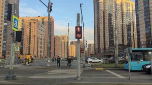 Как мы правильно переходим через дорогу