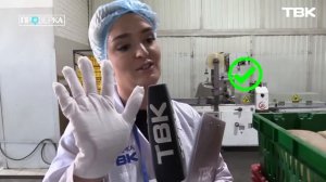 «Красноярский хлеб» / «Проверка» ТВК
