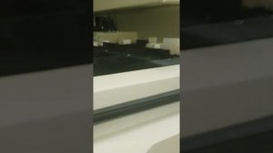 Автостейнер 8