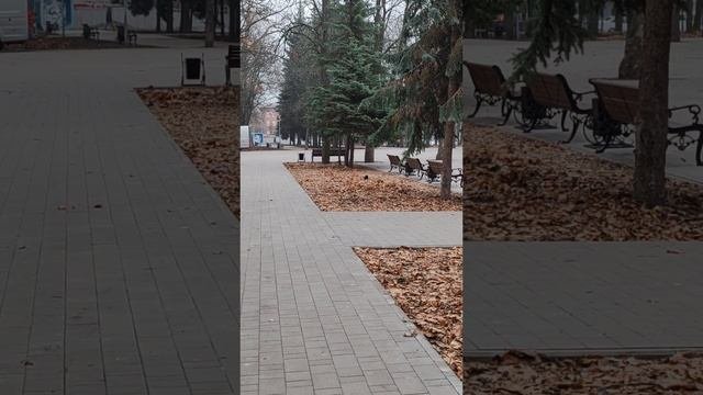 Прогулка