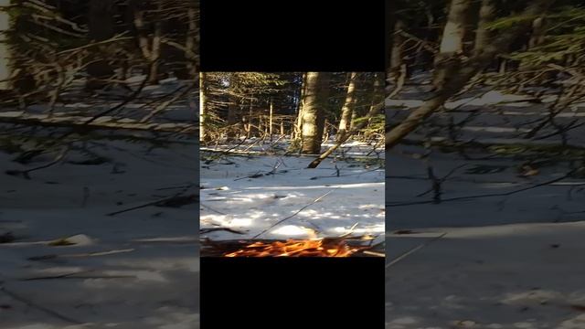 1000015632.mp4