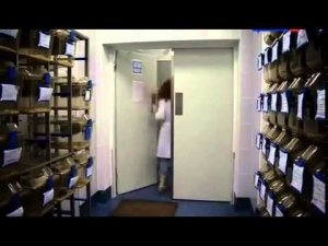 Наука 2 0 Головной мозг Память