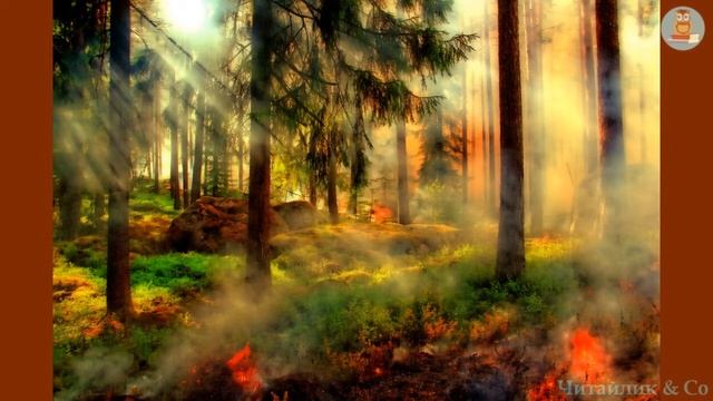 Скоромовки (за підр. Савченко 2 клас, програма НУШ, С.27-28) - українська народна творчість