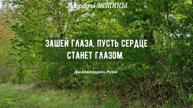 43 лучших советов, которые решат 87% Ваших жизненных проблем. Очень важные жизненные советы.