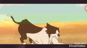 коты воители звездный луч.