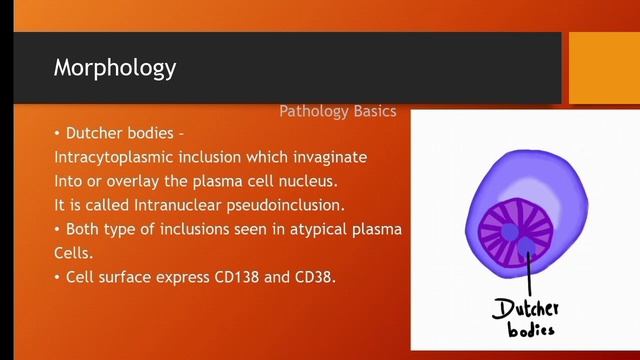Plasma cell morphology #hematology #pathology #pathologylab