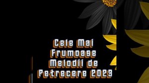 COLAJ - Muzica de petrecere !!!