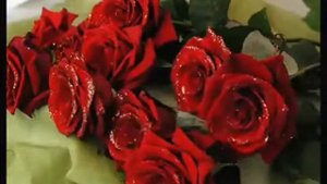 Алексей Брянцев и Ирина Круг - В сердце твоём